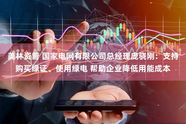 美林资管 国家电网有限公司总经理庞骁刚：支持购买绿证、使用绿电 帮助企业降低用能成本