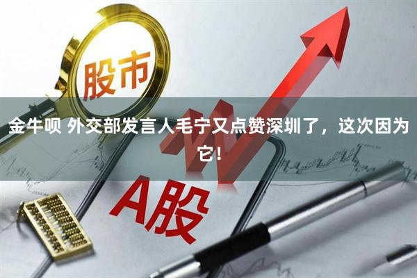 金牛呗 外交部发言人毛宁又点赞深圳了，这次因为它！