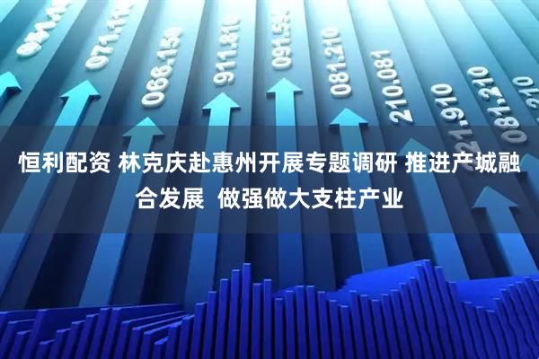 恒利配资 林克庆赴惠州开展专题调研 推进产城融合发展  做强做大支柱产业