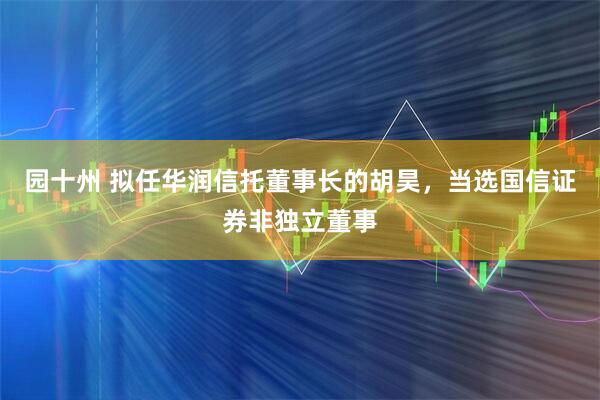 园十州 拟任华润信托董事长的胡昊，当选国信证券非独立董事