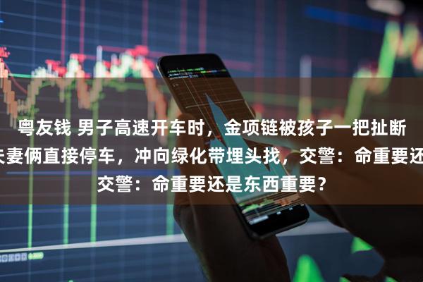 粤友钱 男子高速开车时，金项链被孩子一把扯断甩出车外！夫妻俩直接停车，冲向绿化带埋头找，交警：命重要还是东西重要？