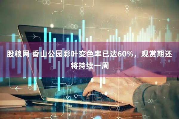股粮网 香山公园彩叶变色率已达60%，观赏期还将持续一周