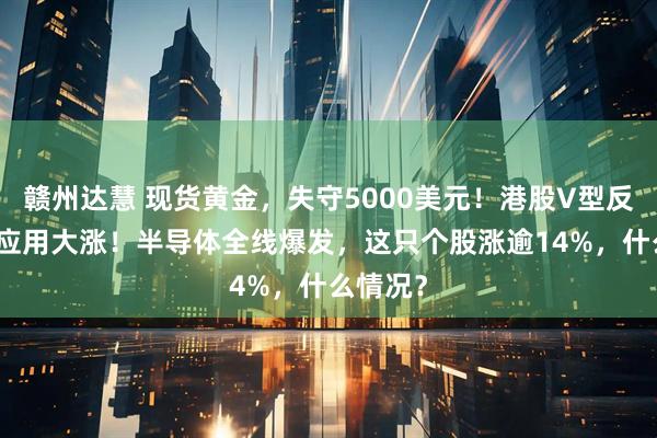 赣州达慧 现货黄金，失守5000美元！港股V型反转，AI应用大涨！半导体全线爆发，这只个股涨逾14%，什么情况？